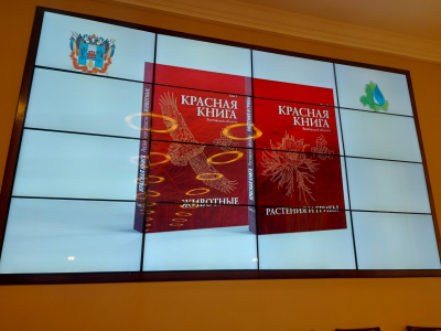 The presentation of the third edition of the Red Book of the Rostov Region was held in Rostov-on-Don