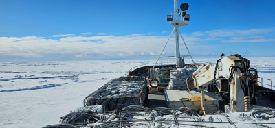 Scientists from the Azov-Black Sea branch of VNIRO conducted scientific observation work in the waters of Antarctica