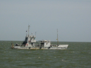 Продолжается сельдяная съёмка в Каспийском море