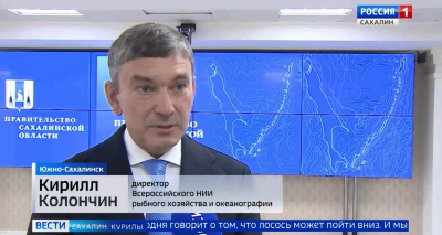 Прогнозы на «красную» путину текущего года обсудили в ходе регионального рыбопромышленного совета в Южно-Сахалинске