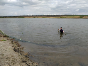 АзНИИРХ проводит обследования водоемов для развития рыбоводства