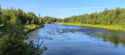 VNIRO scientists have assessed the abundance and habitat conditions of Atlantic salmon in the White Sea basin