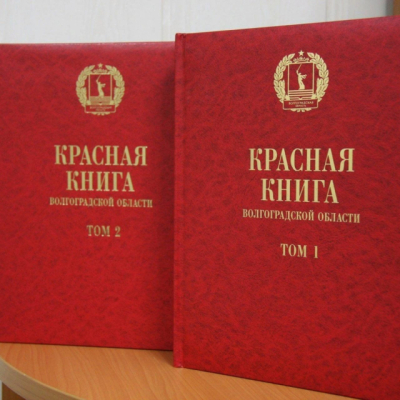 Средневолжский филиал ВНИРО стал площадкой для проведения заседаний комиссии по редким и находящимся под угрозой исчезновения видам животных, растений и других организмов