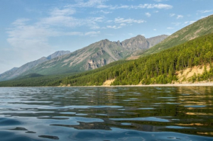 Molecular genetic studies preserve the Baikal ecosystem