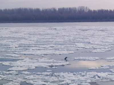 Specialists from the Volga-Caspian branch of VNIRO monitor recreational fishing in winter