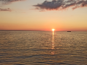 Monitoring studies of large fishery reservoirs continue in the Vologda region