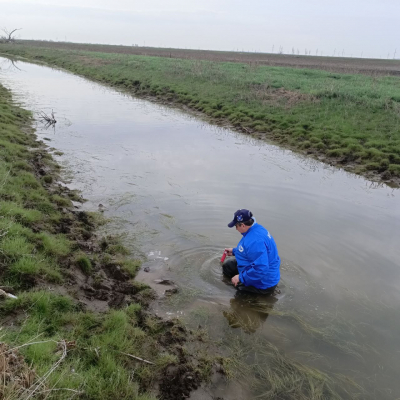 Observations of early spawning fish species in shallow waters of the Astrakhan region