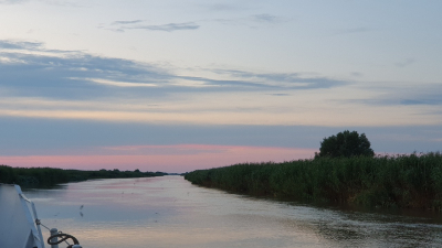 Specialists from the Volga-Caspian branch of VNIRO conducted extensive monitoring of the eastern part of the Volga River delta