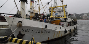 Наука оценит запасы промысловых беспозвоночных и водорослей в подзоне Приморье