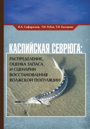 Каспийская севрюга: распределение, оценка запаса и сценарии восстановления волжской популяции