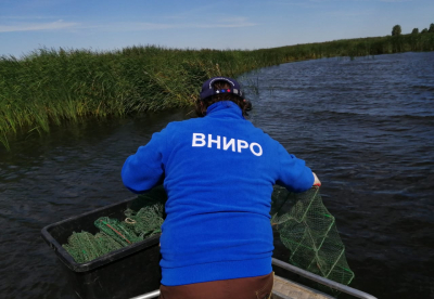 Summer expedition on the ship &quot;Vladimir Uskov&quot; completed