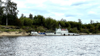 Spawning run of whitefish: research by the Tyumen branch on the Severnaya Sosva River