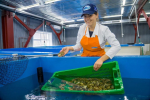 Taking care of the environment is the key to the successful development of domestic aquaculture