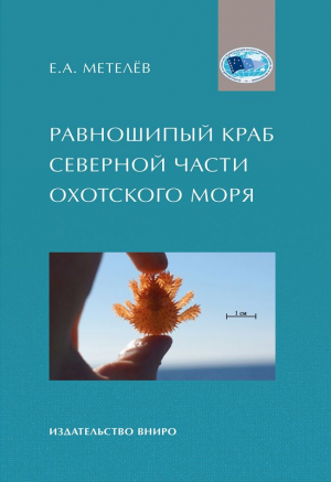 Равношипый краб северной части Охотского моря