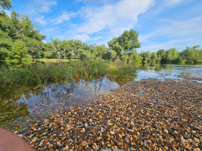 Summer research on the Iriklinskoye reservoir and small water bodies of the Samara and Orenburg regions